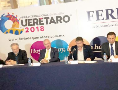 FIGQ 2018 del 23 de Noviembre al 12 de diciembre
