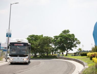 Pide Observatorio Ciudadano a concesionarios de Transporte mostrar estudios