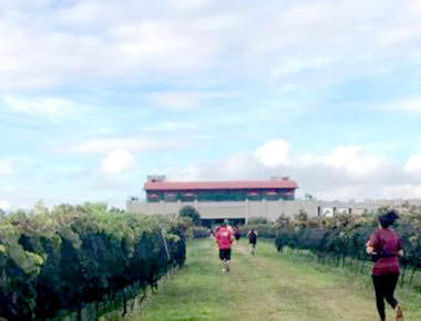 Bernal será escenario de la carrera X Trail a campo traviesa entre viñedos