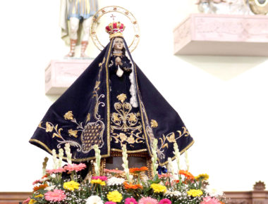 Preparan Gallo monumental para la Coronación de la Virgen de los Dolores de Soriano