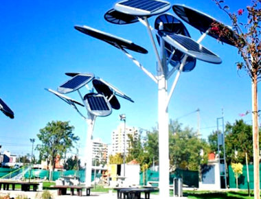 Lanzan convocatoria a jóvenes universitarios para diseñar Árboles Solares