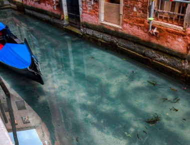 Por cuarentena, canales de Venecia lucen más limpios