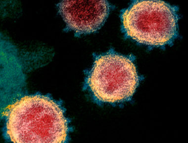Coronavirus rebasa los nueve mil muertos a nivel mundial