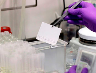 Actualización: Mueren 28 en México por coronavirus