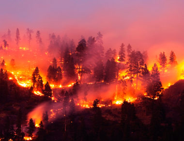 Se reportan 86 incendios forestales en el país