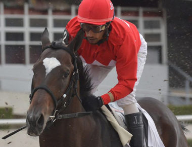 Caballos de carreras son regalados para sobrevivir a crisis del coronavirus