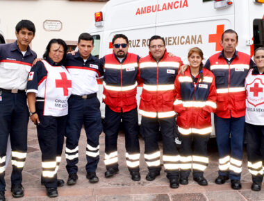 Cruz Roja emite recomendaciones ante la picadura de animales