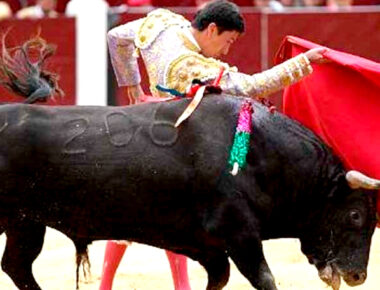 Corridas de toros en Querétaro hasta semáforo amarillo