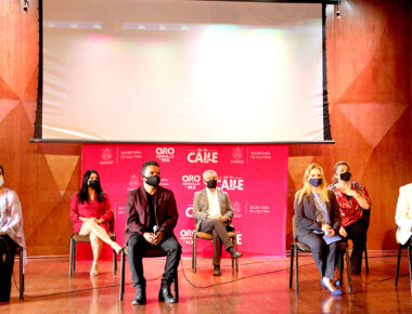 Presentan miniserie “Los Insurgentes”
