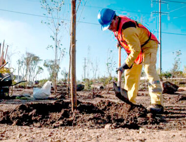 Estiman que capital queretana cuenta con poca superficie de áreas verdes