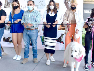 Realizan feria “Patitas Adoptables” en Corregidora